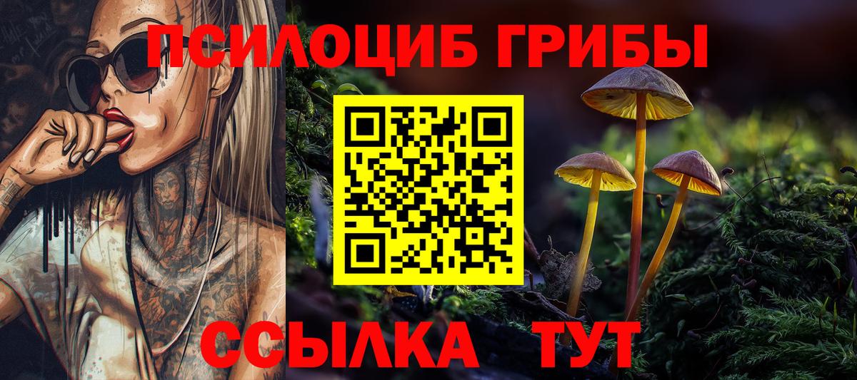 Наро-Фоминск  Галлюциногенные грибы Cubensis  Вход с VPN 