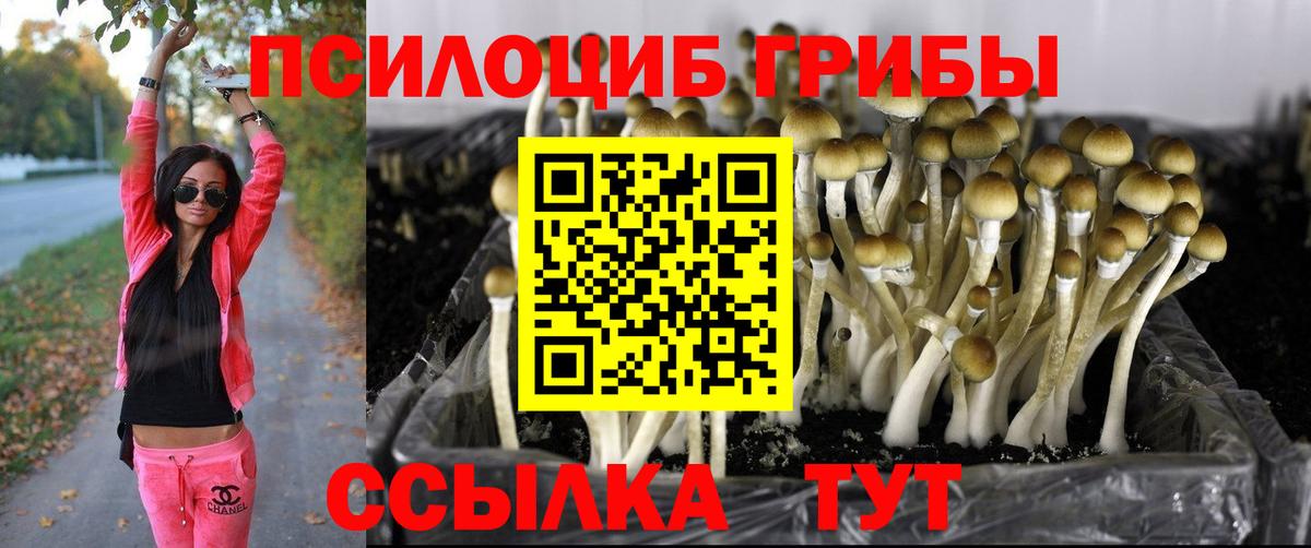 Псилоцибиновые грибы MAGIC MUSHROOMS Наро-Фоминск